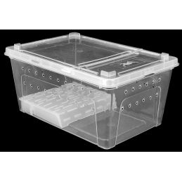 Pojemnik Hodowlany Breeding Box Z Platformą 38 Cm