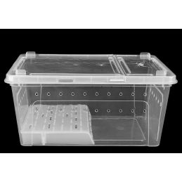 Pojemnik Hodowlany Breeding Box Z Platformą 38 Cm