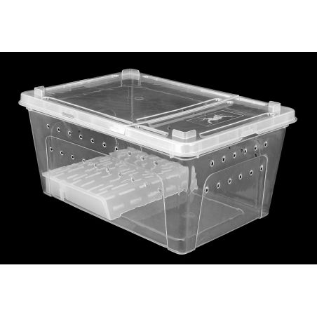 Pojemnik Hodowlany Breeding Box Z Platformą 32 Cm