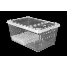 Pojemnik Hodowlany Breeding Box Z Platformą 27 Cm