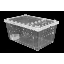 Pojemnik Hodowlany Breeding Box 32 Cm