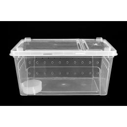 Pojemnik Hodowlany Breeding Box 32 Cm