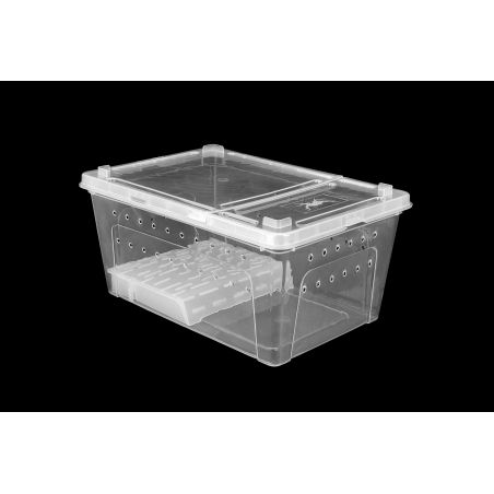 Pojemnik Hodowlany Breeding Box Z Platformą 19 Cm