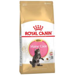 Royal Canin Fbn Maine Coon Kitten - Sucha Karma Dla Kociąt - 2Kg