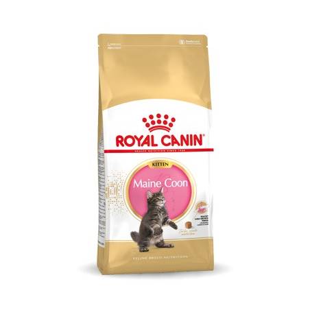 Royal Canin Fbn Maine Coon Kitten - Sucha Karma Dla Kociąt - 10Kg