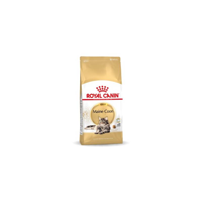 Royal Canin Fbn Maine Coon Adult - Sucha Karma Dla Dorosłego Kota - 10Kg