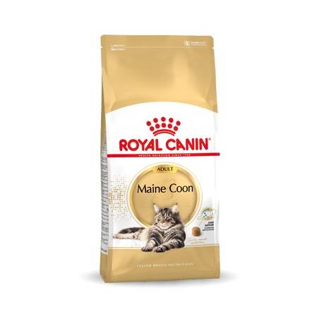 Royal Canin Fbn Maine Coon Adult - Sucha Karma Dla Dorosłego Kota - 10Kg