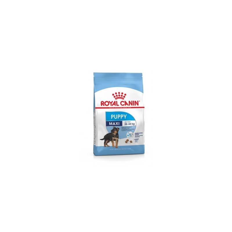 Royal Canin Shn Maxi Puppy - Sucha Karma Dla Szczeniąt - 15 Kg