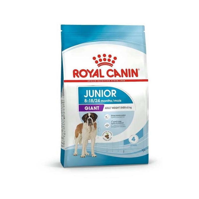 Royal Canin Shn Giant Junior - Sucha Karma Dla Szczeniąt - 15Kg