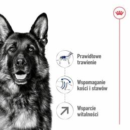 Royal Canin Shn Maxi Adult 5+ - Sucha Karma Dla Psa Dorosłego - 15 Kg