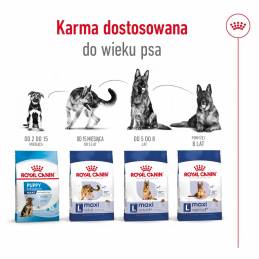 Royal Canin Shn Maxi Adult 5+ - Sucha Karma Dla Psa Dorosłego - 15 Kg