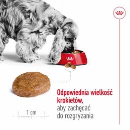 Royal Canin Shn Medium Adult 7+ - Sucha Karma Dla Psa Dorosłego - 15 Kg