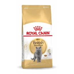 Royal Canin Fbn British Shorthair Adult - Sucha Karma Dla Dorosłego Kota - 10Kg