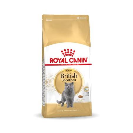 Royal Canin Fbn British Shorthair Adult - Sucha Karma Dla Dorosłego Kota - 10Kg