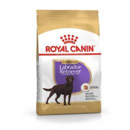 Royal Canin Bhn Labrador Retriever Sterilised Adult - Sucha Karma Dla Psa Dorosłego - 12 Kg