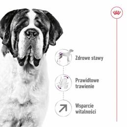 Royal Canin Shn Giant Adult - Sucha Karma Dla Psa Dorosłego - 15 Kg