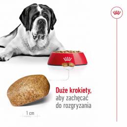 Royal Canin Shn Giant Adult - Sucha Karma Dla Psa Dorosłego - 15 Kg