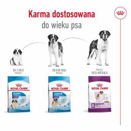 Royal Canin Shn Giant Adult - Sucha Karma Dla Psa Dorosłego - 15 Kg