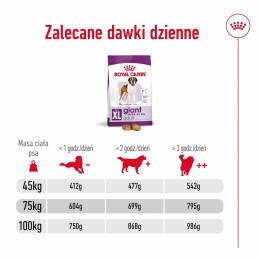 Royal Canin Shn Giant Adult - Sucha Karma Dla Psa Dorosłego - 15 Kg