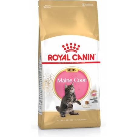 Royal Canin Fbn Maine Coon Kitten - Sucha Karma Dla Kociąt - 4Kg