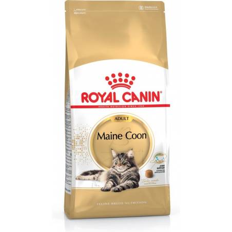 Royal Canin Fbn Maine Coon Adult - Sucha Karma Dla Kota Dorosłego - 4Kg