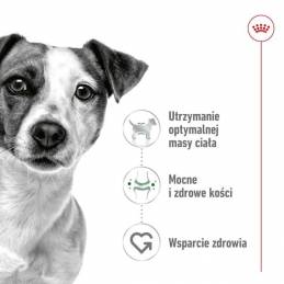 Royal Canin Shn Mini Adult Bf 8Kg