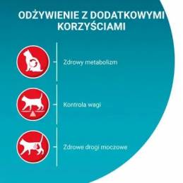 Purina One Sterilcat Wołowina 9,75Kg