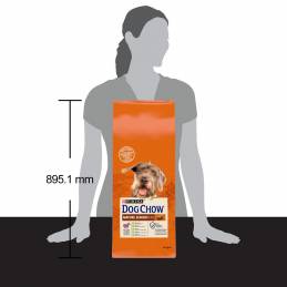 Purina Dog Chow Mature Senior Z Jagnięciną - Sucha Karma Dla Psa - 14 Kg