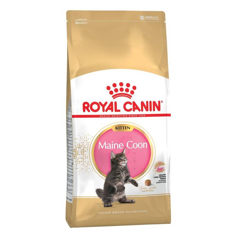 Royal Canin Fbn Maine Coon Kitten - Sucha Karma Dla Kociąt - 2Kg