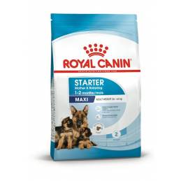 Royal Canin Shn Maxi Starter Mother & Babydog - Sucha Karma Dla Psa - 4 Kg