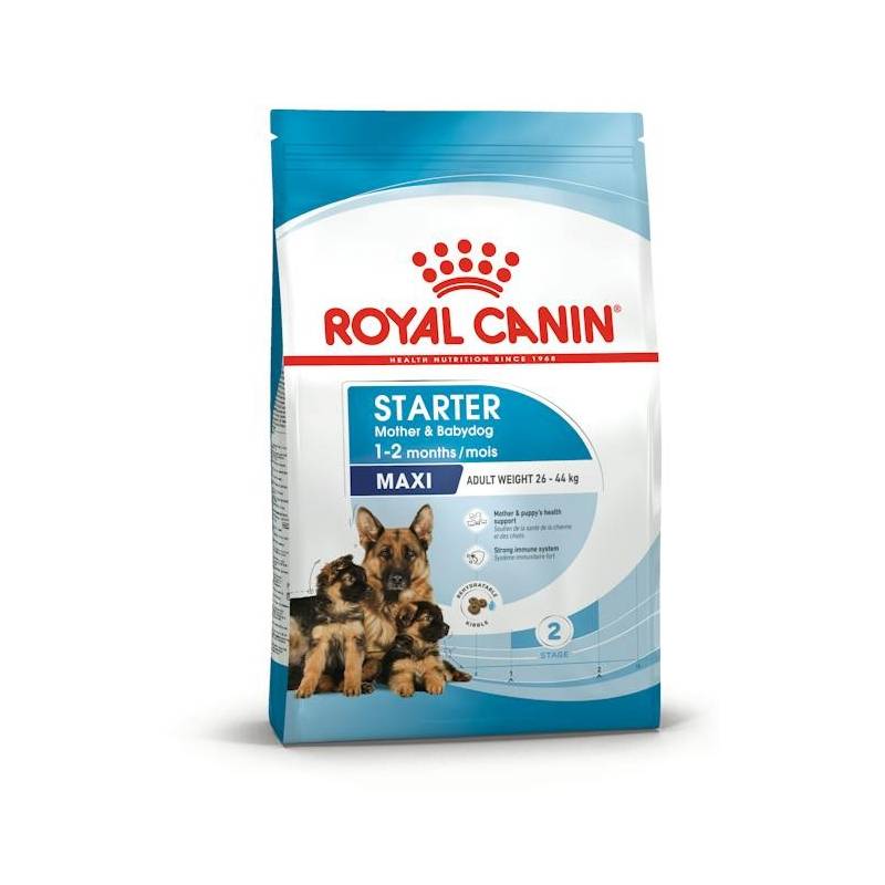 Royal Canin Shn Maxi Starter Mother & Babydog - Sucha Karma Dla Psa - 4 Kg