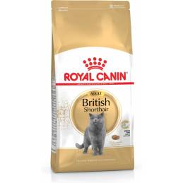 Royal Canin Fbn British Shorthair Adult - Sucha Karma Dla Dorosłego Kota - 2Kg