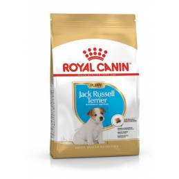 Karma Royal Canin Shn Breed Jack Russ Jun (3 Kg )