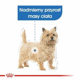 Royal Canin Ccn Mini Light Weight Care - Sucha Karma Dla Psa Dorosłego - 3Kg