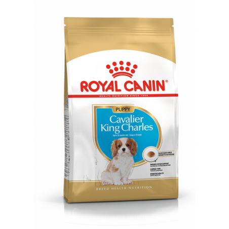 Royal Canin Bhn Cavalier King Charles Spaniel Puppy - Sucha Karma Dla Szczeniąt - 1,5 Kg