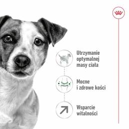 Royal Canin Mini Adult +8 2Kg - Sucha Karma Dla Psa