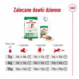 Royal Canin Mini Adult +8 2Kg - Sucha Karma Dla Psa