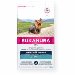 Eukanuba Breed Specific Adult Yorkshire Terrier - Sucha Karma Dla Psa - 2 Kg