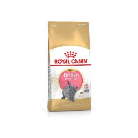 Royal Canin British Shorthair Kitten 0,4Kg