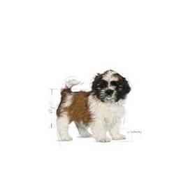 Royal Canin Bhn Shih Tzu Puppy - Sucha Karma Dla Szczeniąt - 0,5Kg