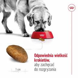 Royal Canin Shn Maxi Adult - Sucha Karma Dla Psa Dorosłego - 15 Kg