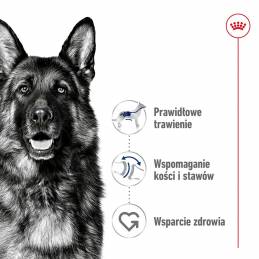 Royal Canin Shn Maxi Adult - Sucha Karma Dla Psa Dorosłego - 15 Kg