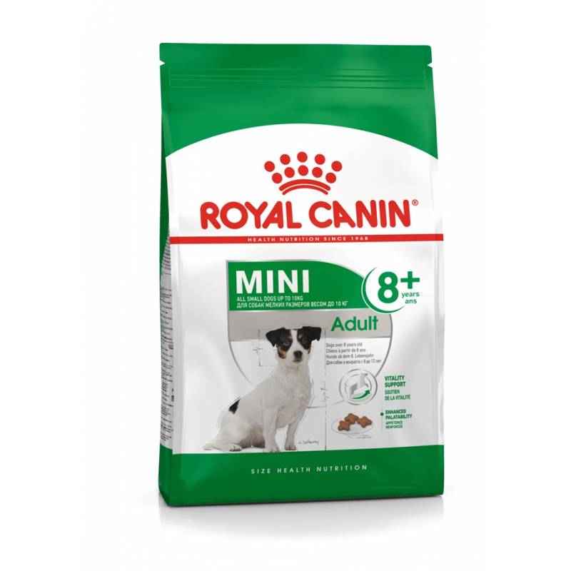 Royal Canin Shn Mini Adult 8+ - Sucha Karma Dla Psa Dorosłego - 8Kg