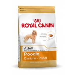 Royal Canin Poodle 1,5Kg