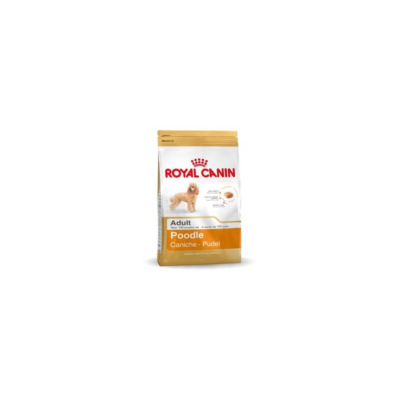 Royal Canin Poodle 1,5Kg