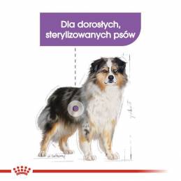 Royal Canin Ccn Medium Sterilised  Adult - Sucha Karma Dla Psa - 12 Kg