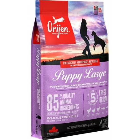 Orijen Puppy Large - Sucha Karma Dla Szczeniąt Dużych Ras - 6Kg