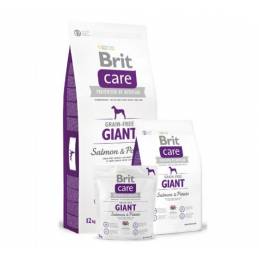 Brit Care Grain-Free Giant Salmon & Potato 12Kg