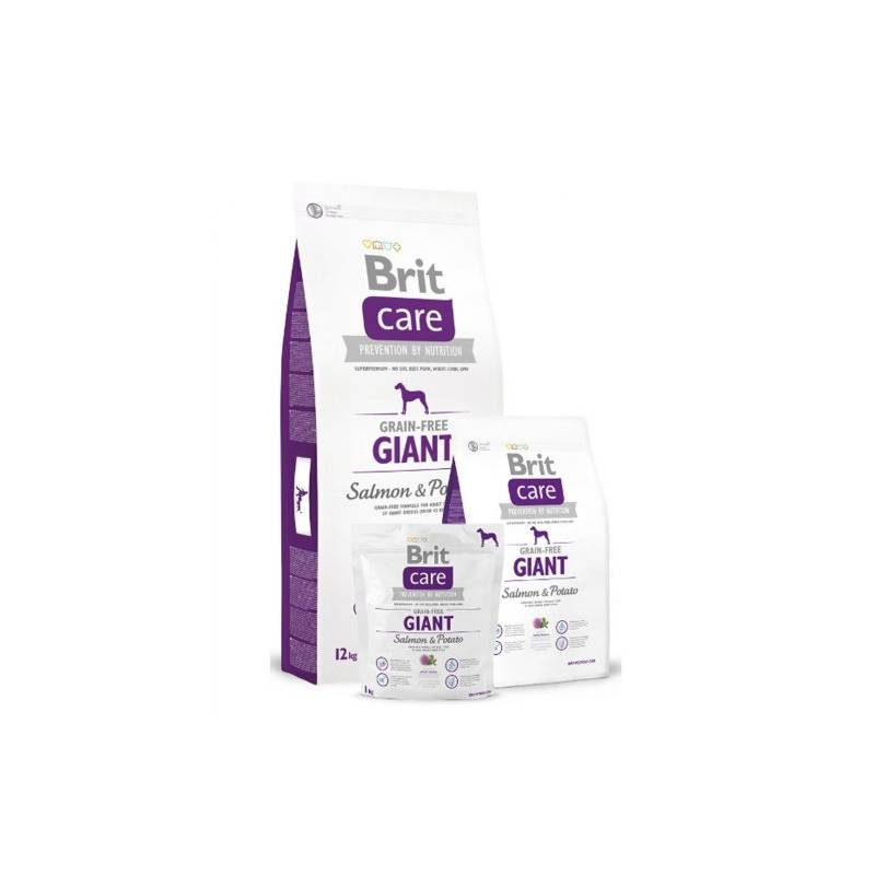 Brit Care Grain-Free Giant Salmon & Potato 12Kg