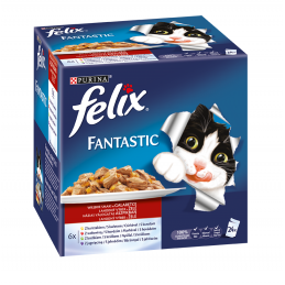 Felix Fantastic 4 (24X100G) Pl